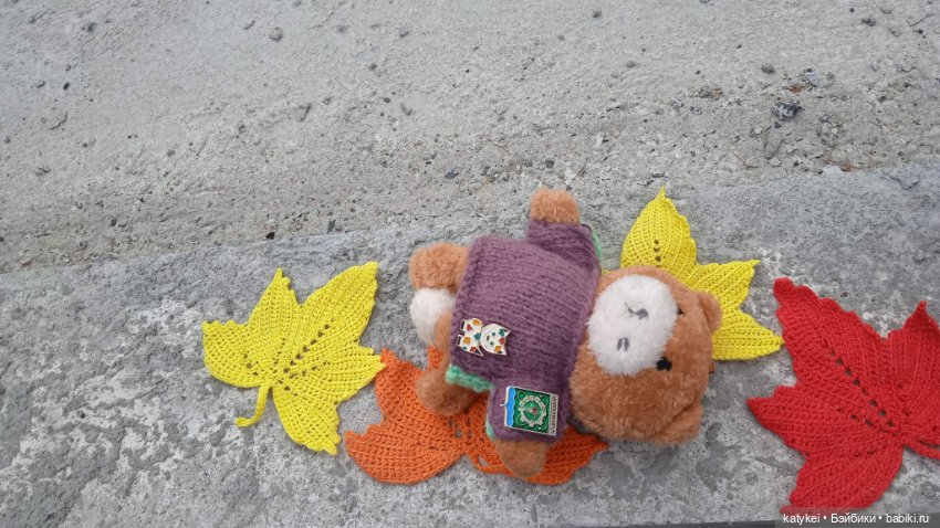 День рыжего кота и кленового листа (фото 4)