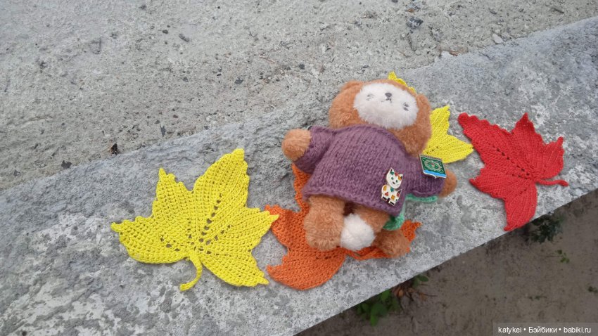 День рыжего кота и кленового листа (фото 5)