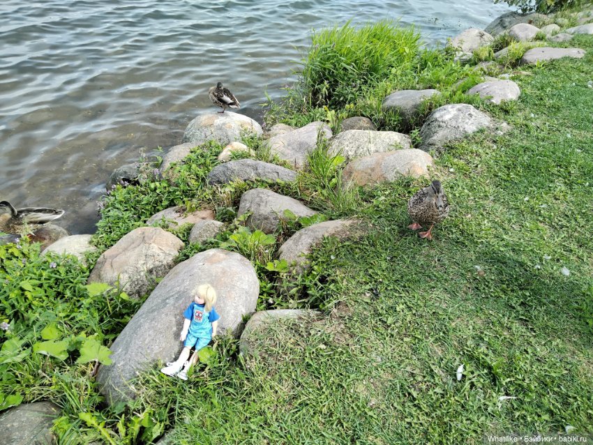 "Озеро Валдай, лес - Государь"... как-то так (фото 8)