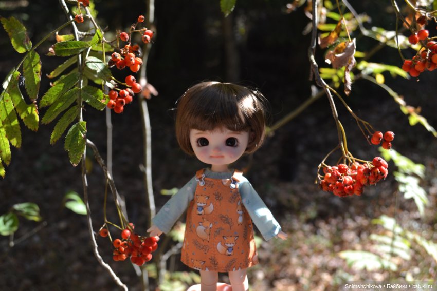 Бабье лето — Разные шарнирные куклы (не БЖД): редкие (фото 9)