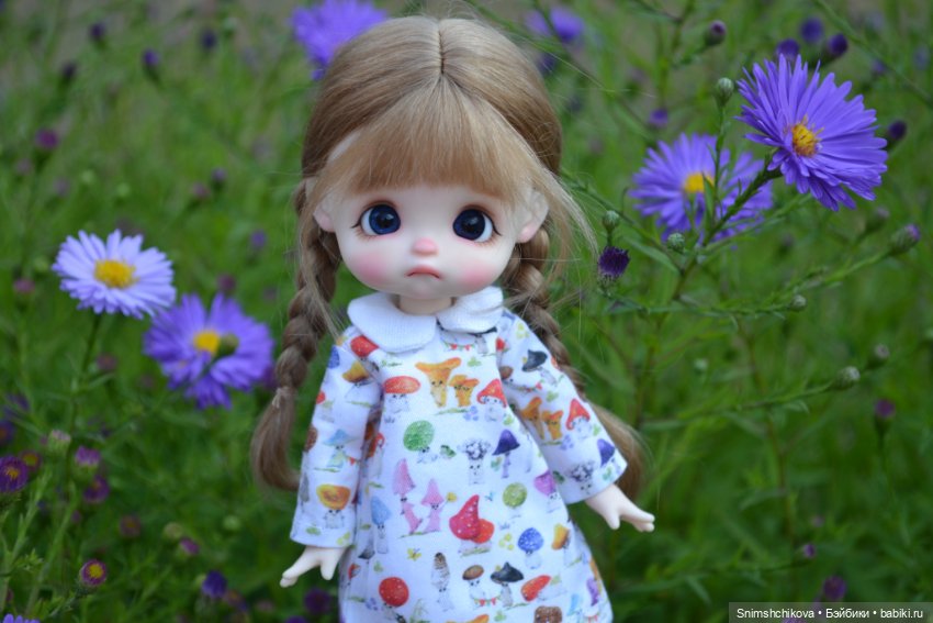 Бабье лето — Разные шарнирные куклы (не БЖД): редкие