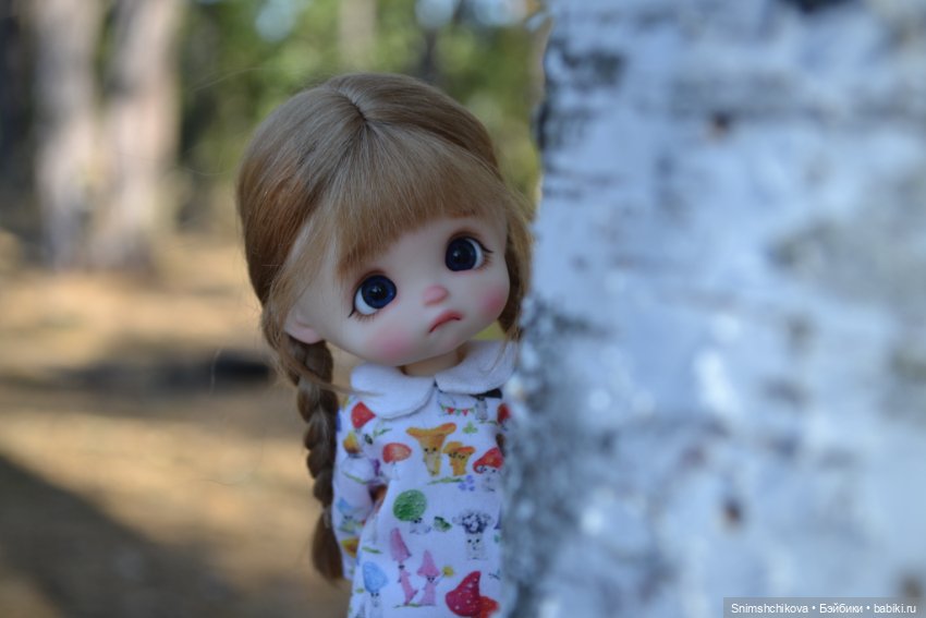 Бабье лето — Разные шарнирные куклы (не БЖД): редкие (фото 4)