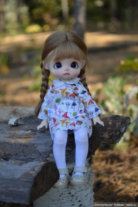 Бабье лето — Разные шарнирные куклы (не БЖД): редкие (фото 6)
