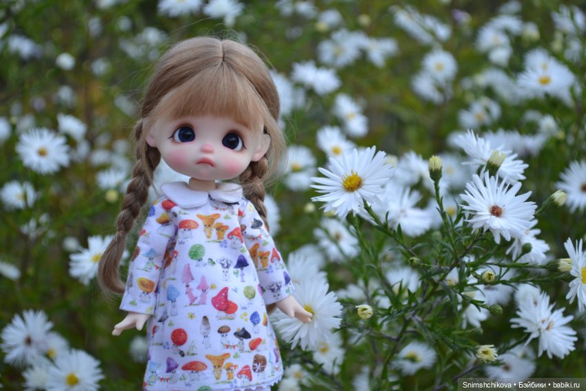 Бабье лето — Разные шарнирные куклы (не БЖД): редкие