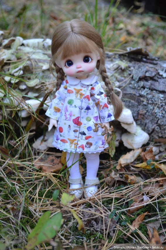 Бабье лето — Разные шарнирные куклы (не БЖД): редкие (фото 2)