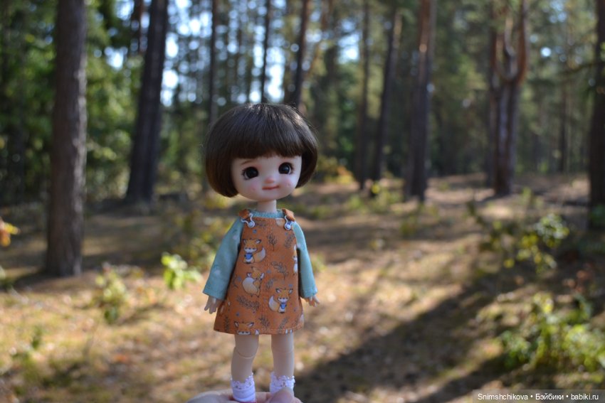 Бабье лето — Разные шарнирные куклы (не БЖД): редкие (фото 7)