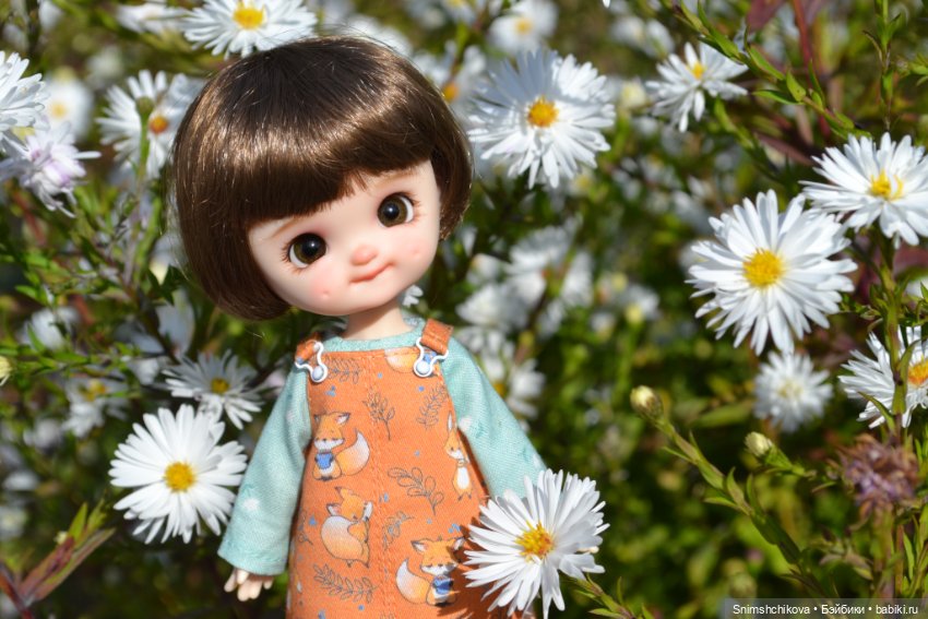 Бабье лето — Разные шарнирные куклы (не БЖД): редкие