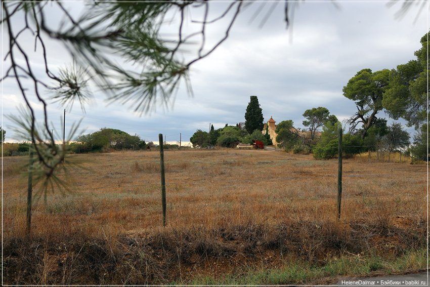Фотосессия в лесу — Одежда и обувь для кукол своими руками: фото