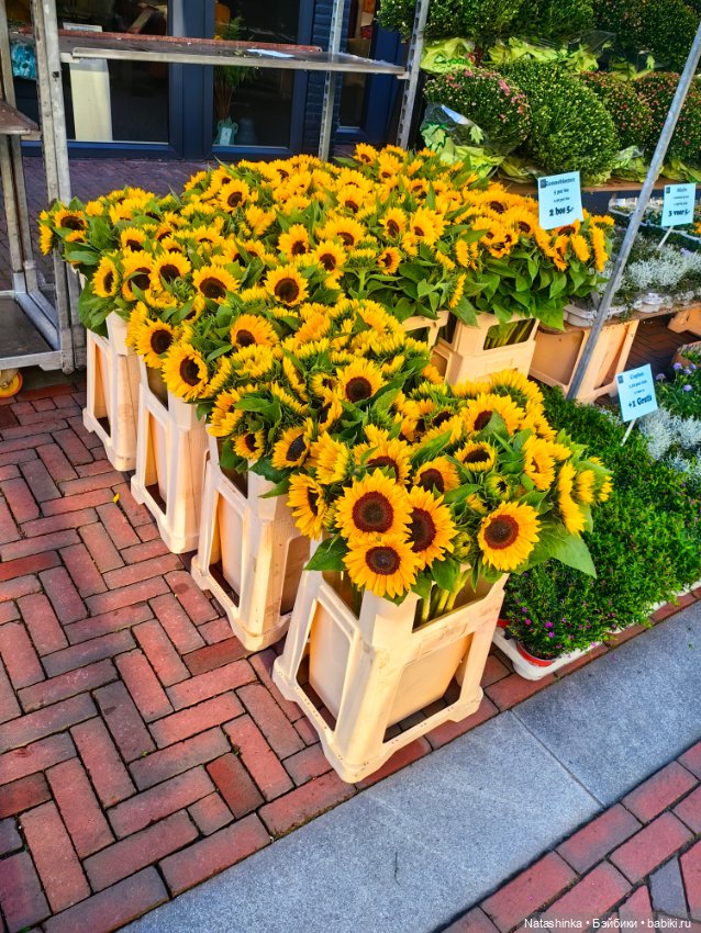 Музыкальная История 147 — Туризм и путешествия: фотоотчеты из поездок (фото 3)