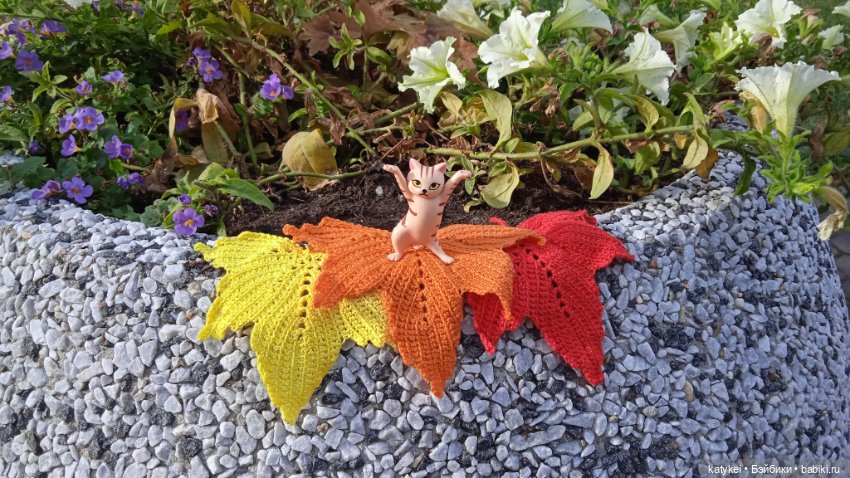 День рыжего кота и кленового листа