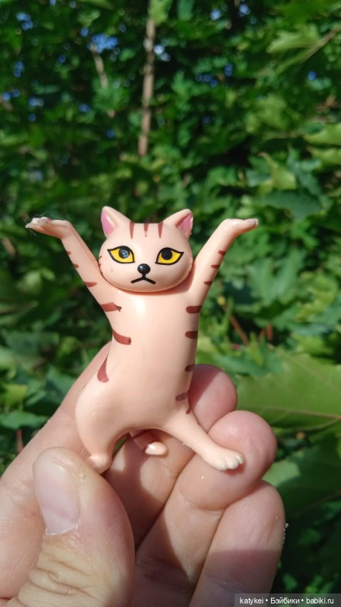 День рыжего кота и кленового листа