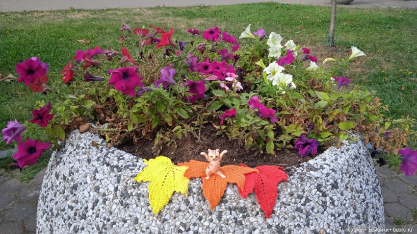 День рыжего кота и кленового листа