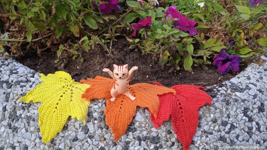 День рыжего кота и кленового листа