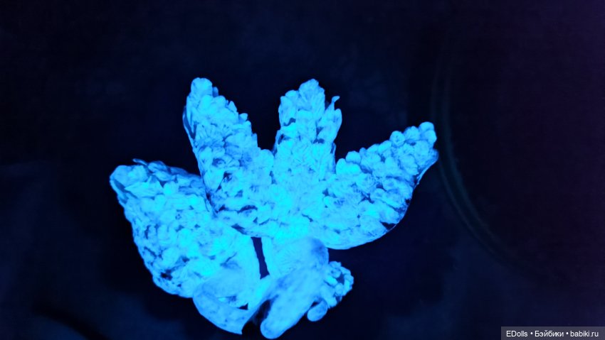 Лебединая песня — Лепка авторских игрушек и папье (фото 7)