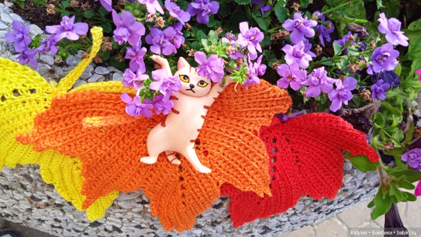 День рыжего кота и кленового листа