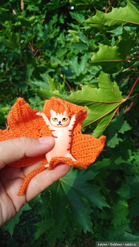 День рыжего кота и кленового листа