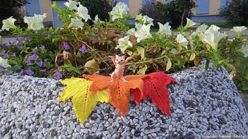 День рыжего кота и кленового листа