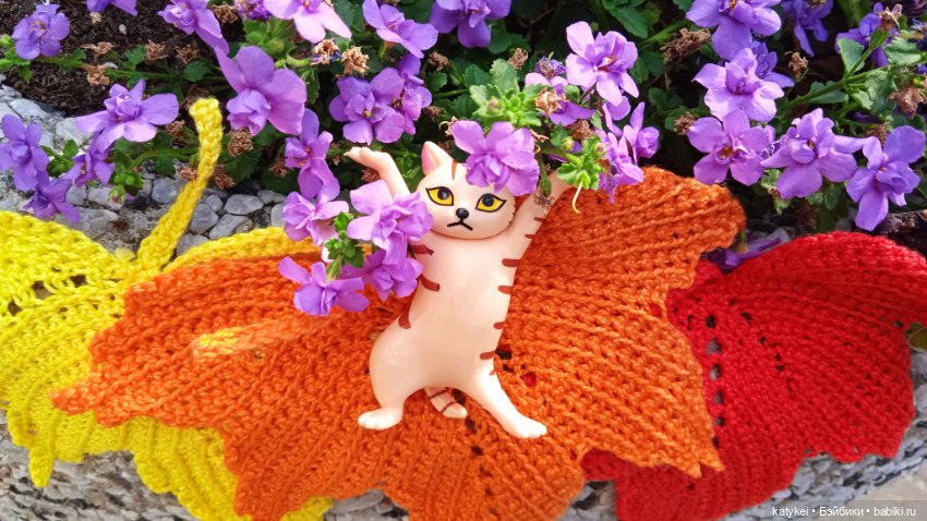 День рыжего кота и кленового листа