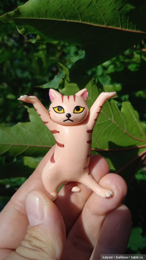 День рыжего кота и кленового листа