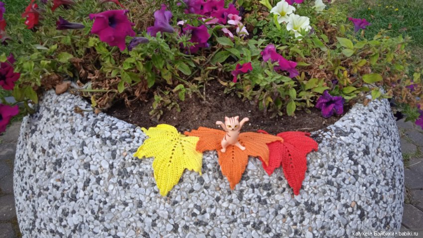 День рыжего кота и кленового листа