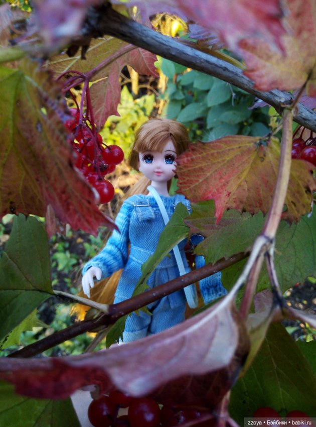 Сентябрьское солнышко — Гибриды шарнирных кукол (не БЖД): подбор тела