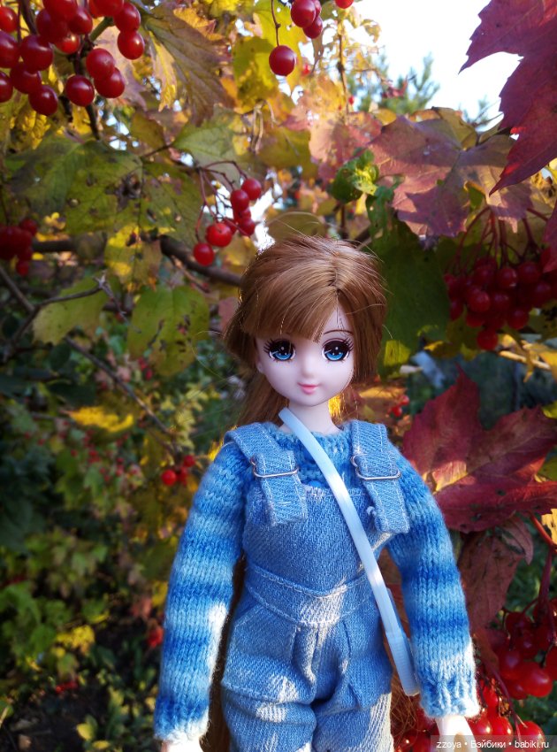 Сентябрьское солнышко — Гибриды шарнирных кукол (не БЖД): подбор тела (фото 9)