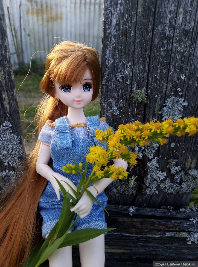 Сентябрьское солнышко — Гибриды шарнирных кукол (не БЖД): подбор тела (фото 2)