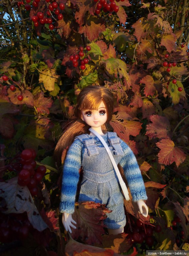 Сентябрьское солнышко — Гибриды шарнирных кукол (не БЖД): подбор тела