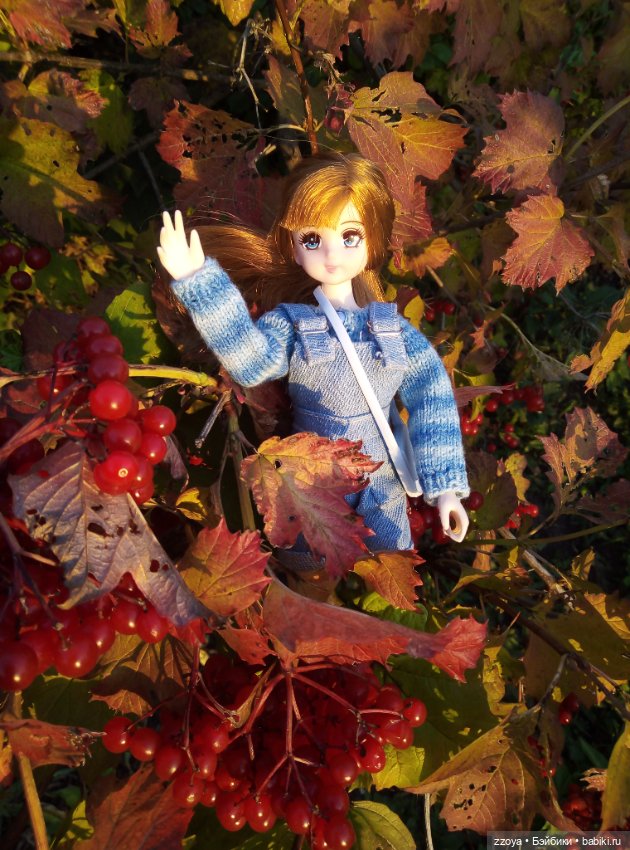 Сентябрьское солнышко — Гибриды шарнирных кукол (не БЖД): подбор тела