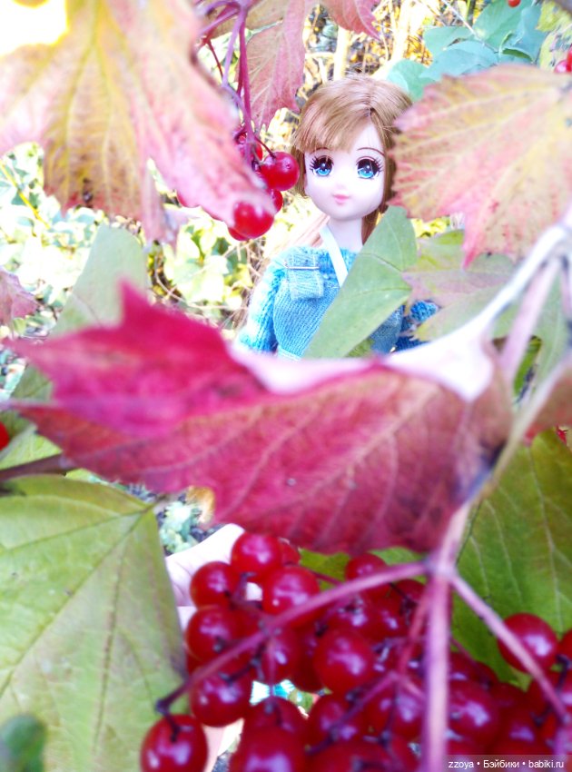 Сентябрьское солнышко — Гибриды шарнирных кукол (не БЖД): подбор тела