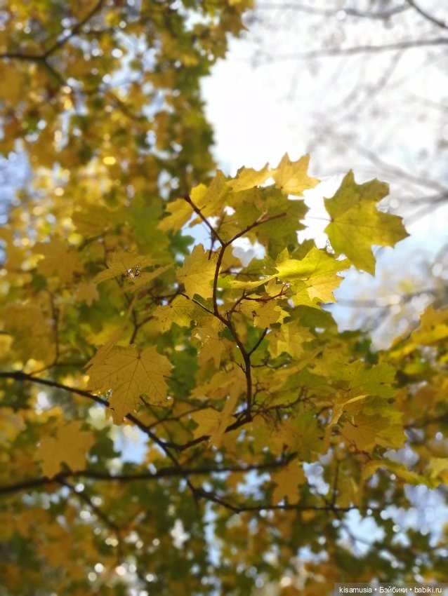 Прогулка Леночки — Коллекционные куклы разных авторов (Разное): редкие бренды