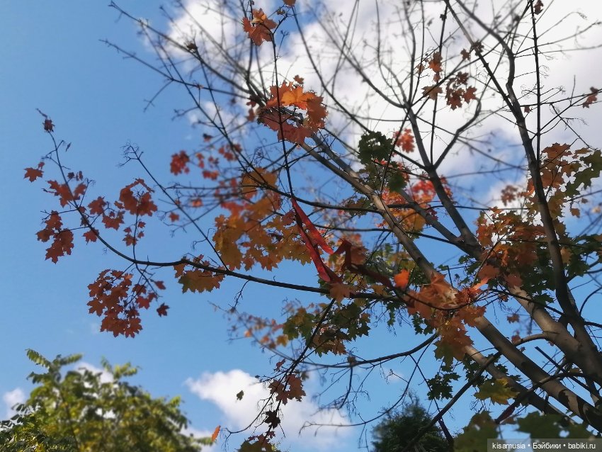 Прогулка Леночки — Коллекционные куклы разных авторов (Разное): редкие бренды (фото 4)