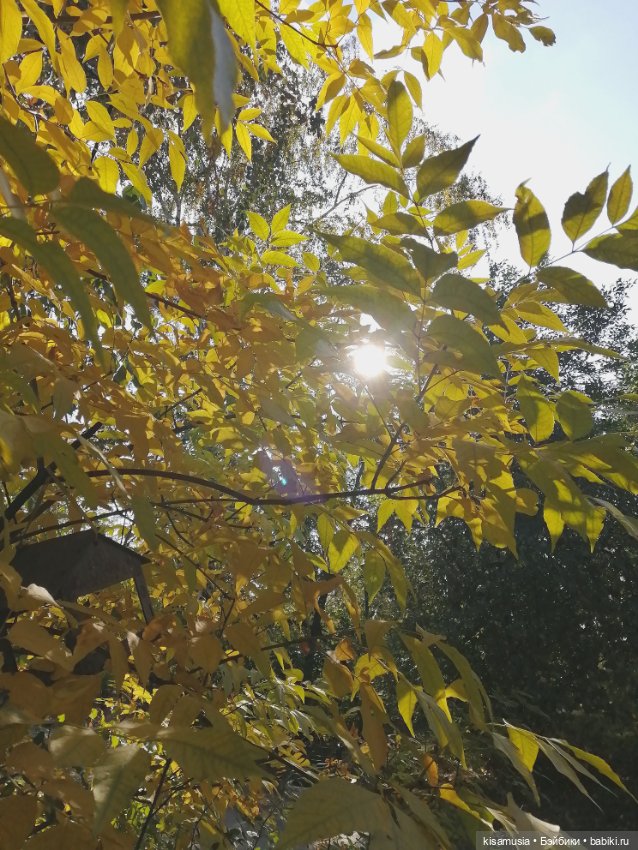 Прогулка Леночки — Коллекционные куклы разных авторов (Разное): редкие бренды (фото 10)