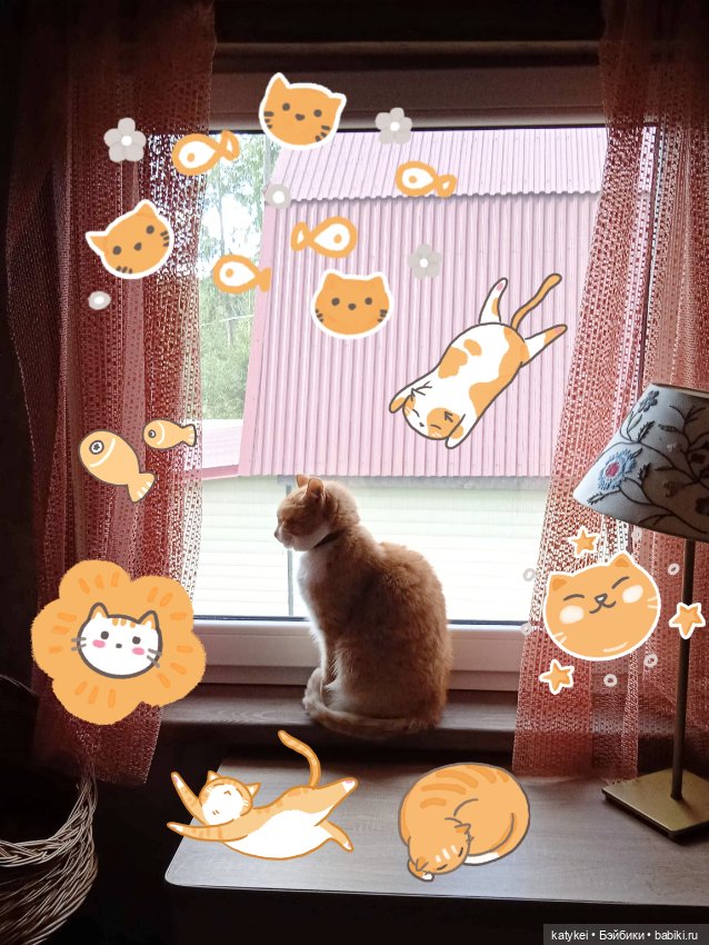 День рыжего кота и кленового листа