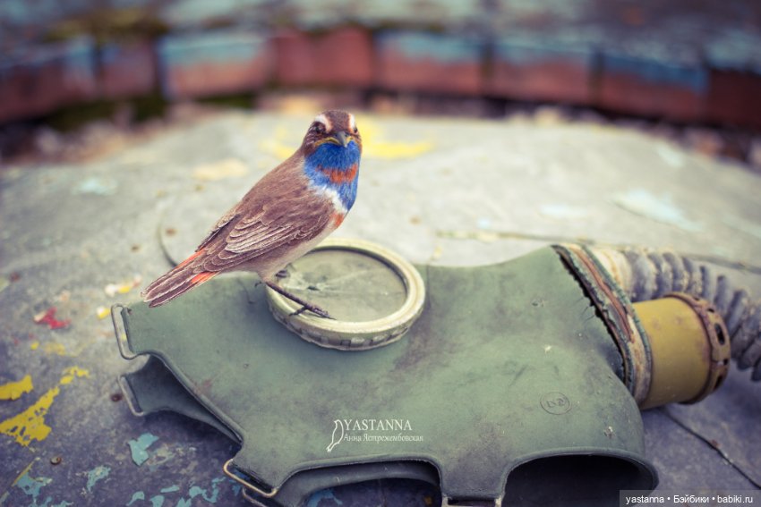 Варакушка - повторушка — Валяные игрушки из шерсти: сухое валяние