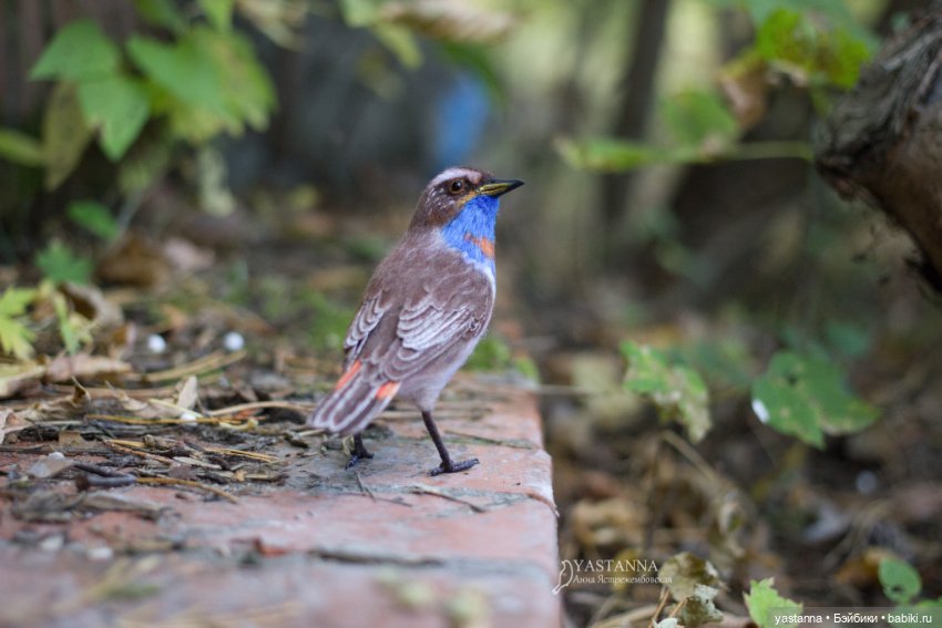 Варакушка - повторушка — Валяные игрушки из шерсти: сухое валяние