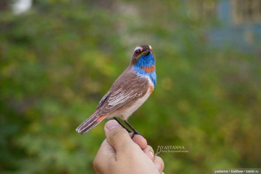 Варакушка - повторушка — Валяные игрушки из шерсти: сухое валяние