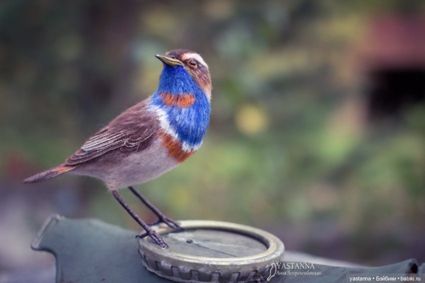 Варакушка - повторушка — Валяные игрушки из шерсти: сухое валяние