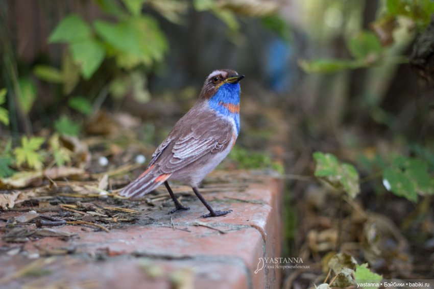 Варакушка - повторушка — Валяные игрушки из шерсти: сухое валяние