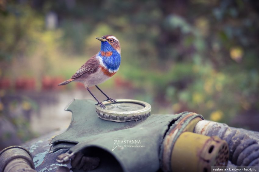 Варакушка - повторушка — Валяные игрушки из шерсти: сухое валяние