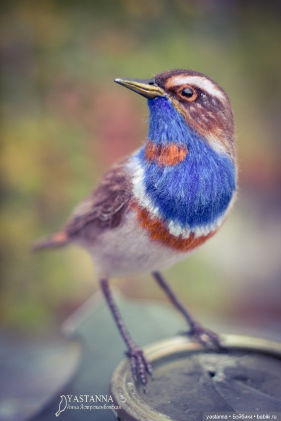 Варакушка - повторушка — Валяные игрушки из шерсти: сухое валяние