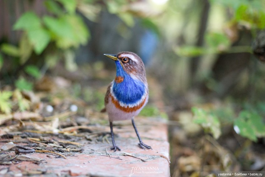 Варакушка - повторушка — Валяные игрушки из шерсти: сухое валяние
