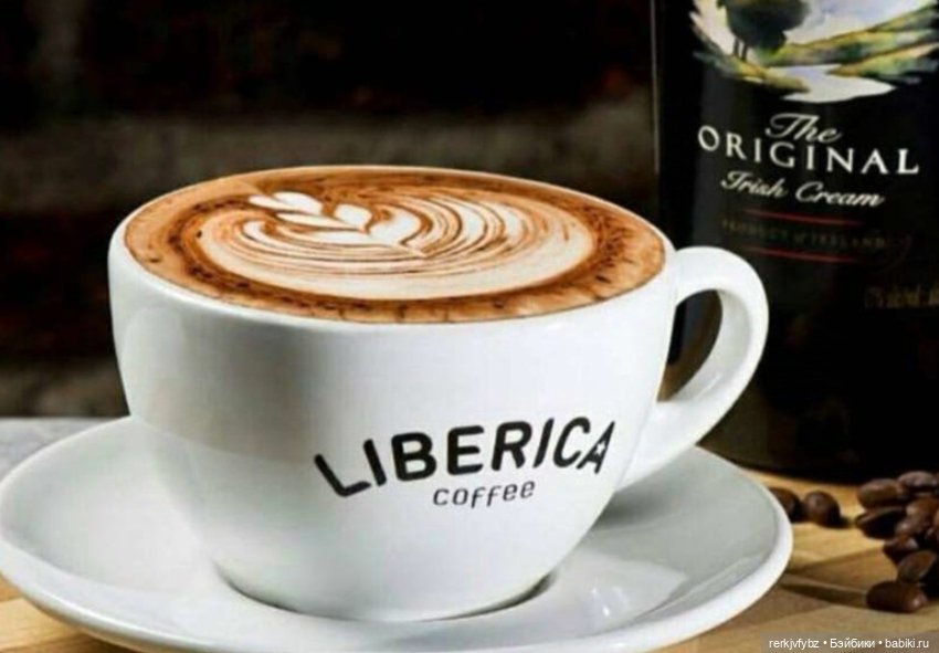 Осенний кофе — Куклы Liv (Лив) Spin Master: сменные парики