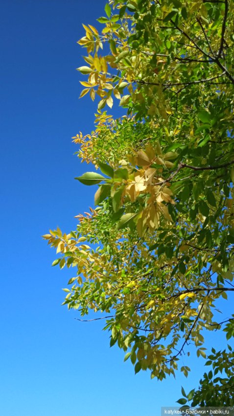 Разный подход — Коллекционные игрушки и фигурки: Lego