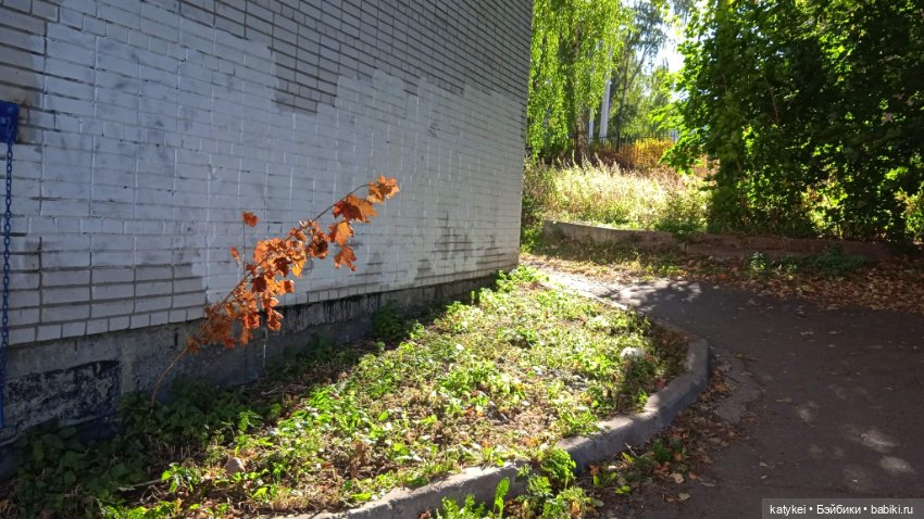 Разный подход — Коллекционные игрушки и фигурки: Lego