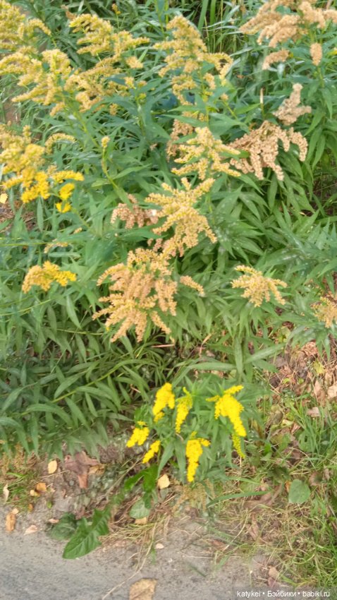 Разный подход — Коллекционные игрушки и фигурки: Lego