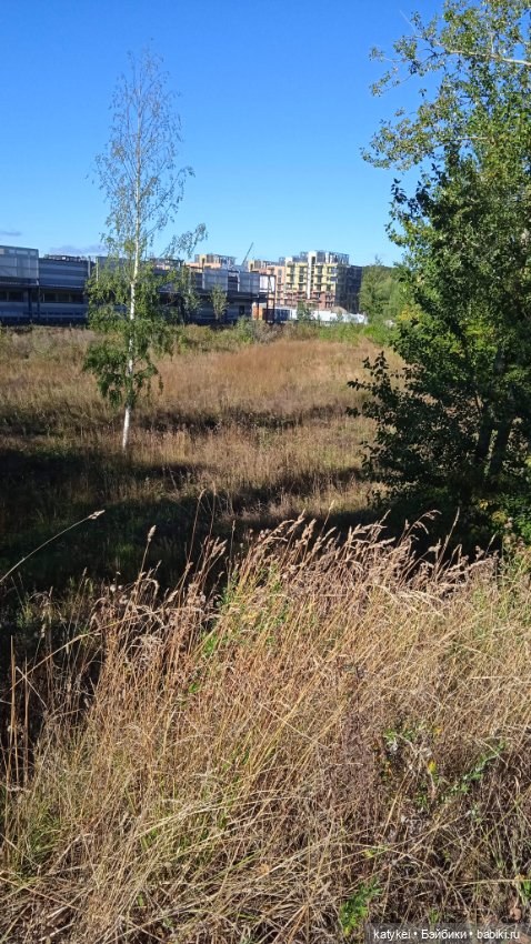 Разный подход — Коллекционные игрушки и фигурки: Lego