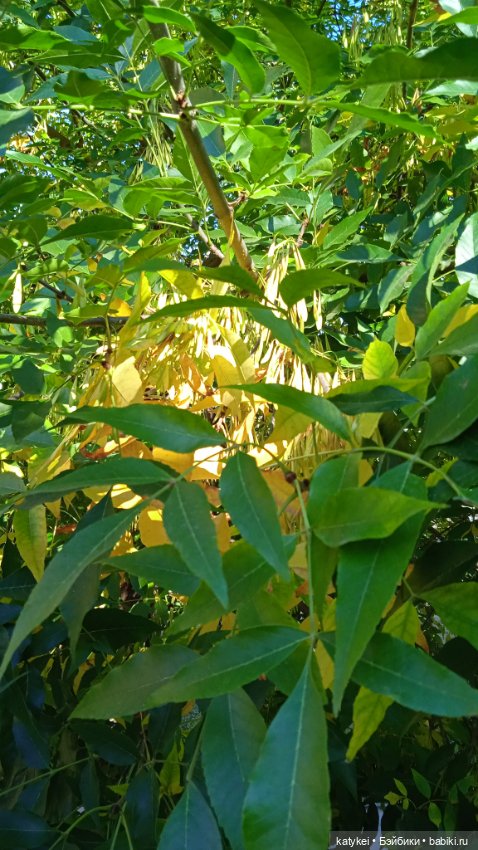 Разный подход — Коллекционные игрушки и фигурки: Lego