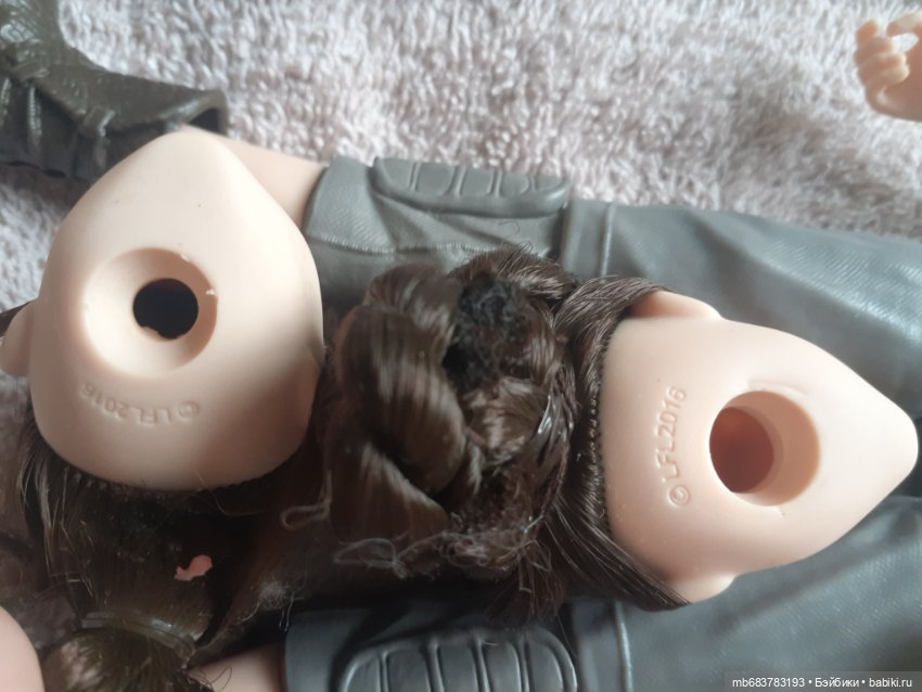 Муки гибридизации или София наше все (фото 5)