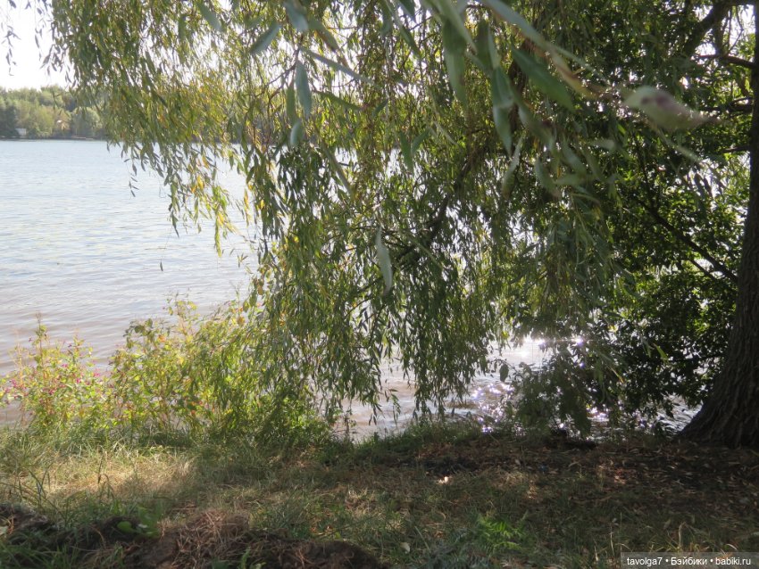 Ratti дома полвека спустя (фото 2)